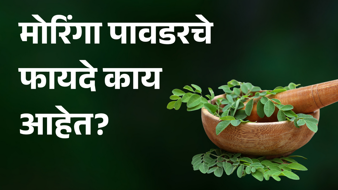 मोरिंगा पावडरचे फायदे काय आहेत? (Moringa Powder Fayde Kay Ahe Marathi)