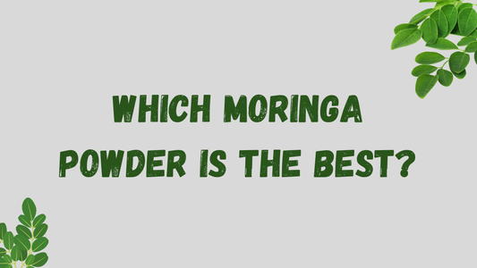 Which moringa powder is the best?